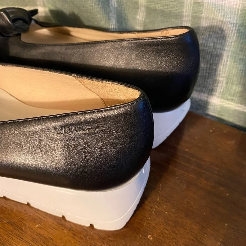 Wonders fly wedge